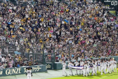 プロ野球の観客動員が史上最多２７００万人超wwwwwwww
