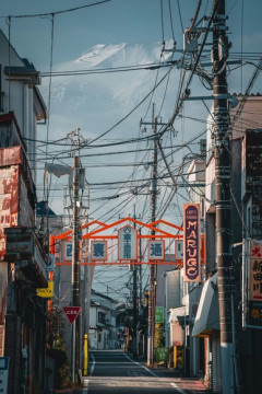 穴場の旅行先ってある？