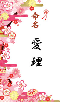 嫁が娘につけようとしている名前がDQNで困っている