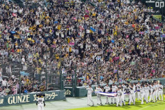【朗報】プロ野球の観客動員、史上最多2700万人超wwwwwwwwww