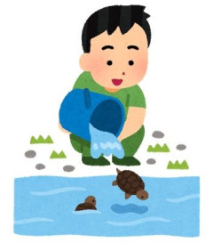 俺はペットを半野良猫に頃されたことがあって猫が生理的にムリ。嫁にも猫だけはダメだからと言っておいた。ところが、嫁が突然災害で飼い主をなくした猫を引き取ると言