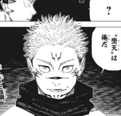 【呪術廻戦】堕天は俺だ
