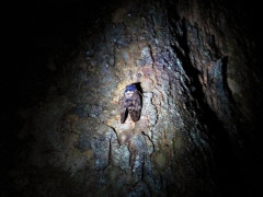 妻がノリノリでムーンウォークを練習しているところに出くわしたんだけど…