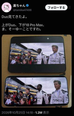 【悲報】iPhoneDuo買ったよ