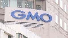 GMOインターネットグループ、顧客にパソコン電源オフを要請　27日正午に攻撃との脅迫受け（動画あり）