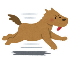 【悲報】同居中のクソ姑＆義兄の愛犬、私の足を噛みちぎりボコボコにするも「ダメでちゅよ〜ｗ」で済まされる地獄