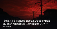 【オカルト】北海道の山道でエゾシカを撥ねた夜、気づけば無数の目に取り囲まれていて…