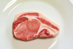 chatGPT「常温で24時間放置した生肉は廃棄しましょう」👈アホかこいつ　人の金をなんだと思っとんねん