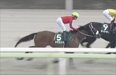 【競馬】一部で話題の馬「ドヤコンガ」、デビュー戦は3着