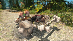 【FF14】引き当てれば大金持ち！？モンハンワイルズコラボのネコ荷車や商客物語のランプの精など一部コンテンツ産のマウントが超高額な件