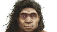 謎多きデニソワ人の顔つきが明らかに。約20万年前の化石を分析