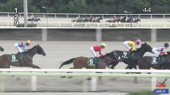 ドヤコンガ(馬)、なんか問題になりそうな気配が漂ってくる…