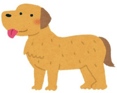 嫁実家は義兄家族と同居中で犬を飼っている。その犬は姪と俺の言う事しか聞かない。しかし姪が大学進学で義実家を出て犬の世話をする人がいなくなってしまい…