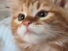 かわいい子の前髪にゴミが付いていた。取りたいのに取れない！ → 気になる彼女はこんな様子です…