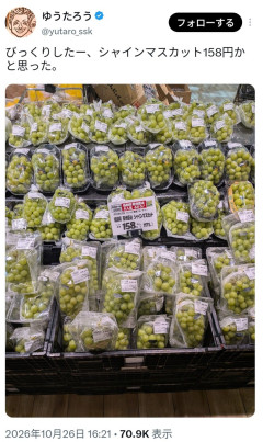 【画像】シャインマスカット、158円wwwwwwwwwwwwwwwwww