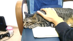 部屋を片付けたらダンボール５箱分の児童書が出てきたので、本好きなお隣の女の子に譲ることに。→クレクレママ「うちがもらってあげる＾＾」ダンボールごと強奪されたが・・・