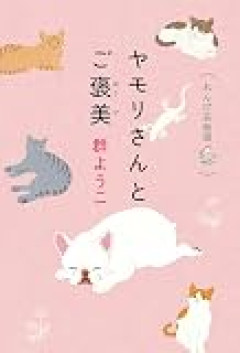 ヤモリの幼体とケラに遭遇