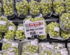【画像】シャインマスカット、まさかの158円にｗｗｗｗｗ