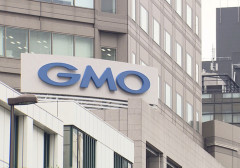 【悲報】GMOへの攻撃、素人の犯行か・・・