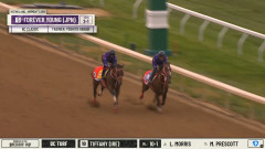 【小ネタ・画像】フォーエバーヤングの最終追い切り映像 他ウマ娘・競馬小ネタまとめ
