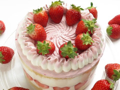 バングラデシュイスラム大学創立47周年記念のケーキの奪い合いが激しいｗｗｗｗｗｗ
