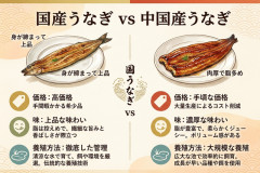 高級料亭「中国産うなぎは日本産より高い。見分けなんて困難」　もはや日本産より美味しいとの声w  [10/28]