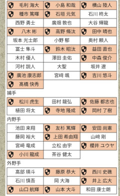 【宝の山】ロッテプロテクトリスト、完成するwwwwwwwwwwwwwww