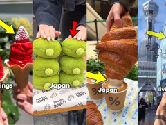 外国人「シンガポールにもあるよ」日本と韓国の面白いことを紹介してる