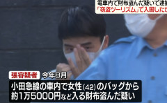 【小田急線】電車内でバッグから財布盗んだ疑い…中国籍の男を逮捕 「窃盗ツーリズム」で入国か（動画あり）