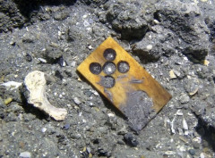 【海底ツモ】元寇の沈没船から麻雀の起源の「天九牌」発見される