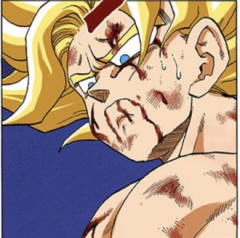 【ドラゴンボール】なんとも味わい深い顔をしている…