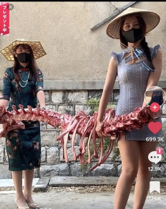 【画像あり】えちえちアオザイ娘「牛骨スープを一緒に料理作ろう🤗」←どうする？