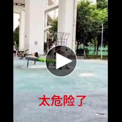 【動画】中国ガキ、回される🇨🇳