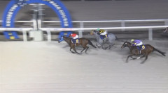 【エーデルワイス賞】クラプロスパー&山本聡哉騎手がキタ━━━━(゚∀゚)━━━━!!
