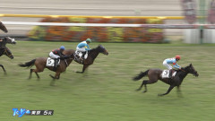 【日曜東京5R新馬戦】ノヴァルクス＆横山武史騎手がｷﾀ━━━━(ﾟ∀ﾟ)━━━━!!