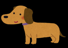 おやつをあげるとすぐに吐き出す飼い犬に、「どういうつもりだお前。いらないなら返してもらう」と取り上げようとしたら…→