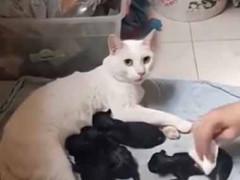 彼女が出産をした。私も少しだけ子育てを手伝ってみた → ガルガル期、発動中です…