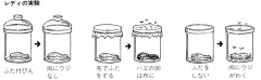 1668年の科学者「コバエは無から発生するんやろか…どうやって調べたらええんやろか…せや！」