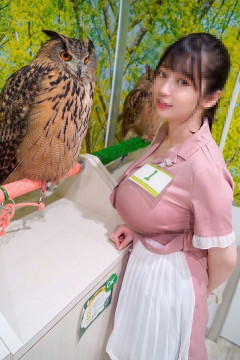 【画像】フクロウカフェにいた巨胸店員たまらんｗｗｗｗｗｗｗｗｗｗｗ