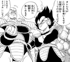 ナッパってなんでベジータにタメ口だったんだろう