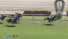 【東京5R新馬戦】エクアトーレ＆ルメール騎手がｷﾀ━━━━(ﾟ∀ﾟ)━━━━!!
