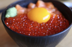 韓国人「日本の寿司ネタが高級品に！日本のイクラ卸値が前年比2倍に暴騰し『1粒4.8円』まで跳ね上がる」→「海の宝石が本当に宝石に‥(ﾌﾞﾙﾌﾞﾙ」
