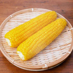 【朗報】ゆうちゃみさん、最近突然食べられるようになったものを明かす「本当に24年間、全然食べられなくて」ｗｗｗｗｗｗｗｗｗｗ