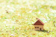 子どもが生まれて特に感じる。地元を離れた人はどうやってその土地に根を下ろしてるんだろう？