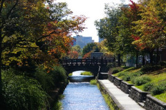 来月1週間の休み貰ったらどこ旅行する？