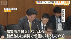 【速報】米国産ジャガイモの輸入解禁に北海道の農家が危機感、武部農水相が「毅然と慎重に対応」と答弁した結果
