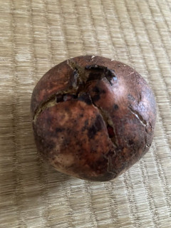【柘榴】今からザクロを食べる