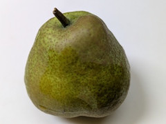 洋梨売ってたよぉ🍐🥺