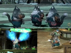 【FF14】白銀新エリアの実機映像で動く猫型獣人コットル族が発見される。猫会議したりせっせと働く姿が可愛い